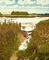 Original Landscape Etching - Summer Banks - Jan Dingle